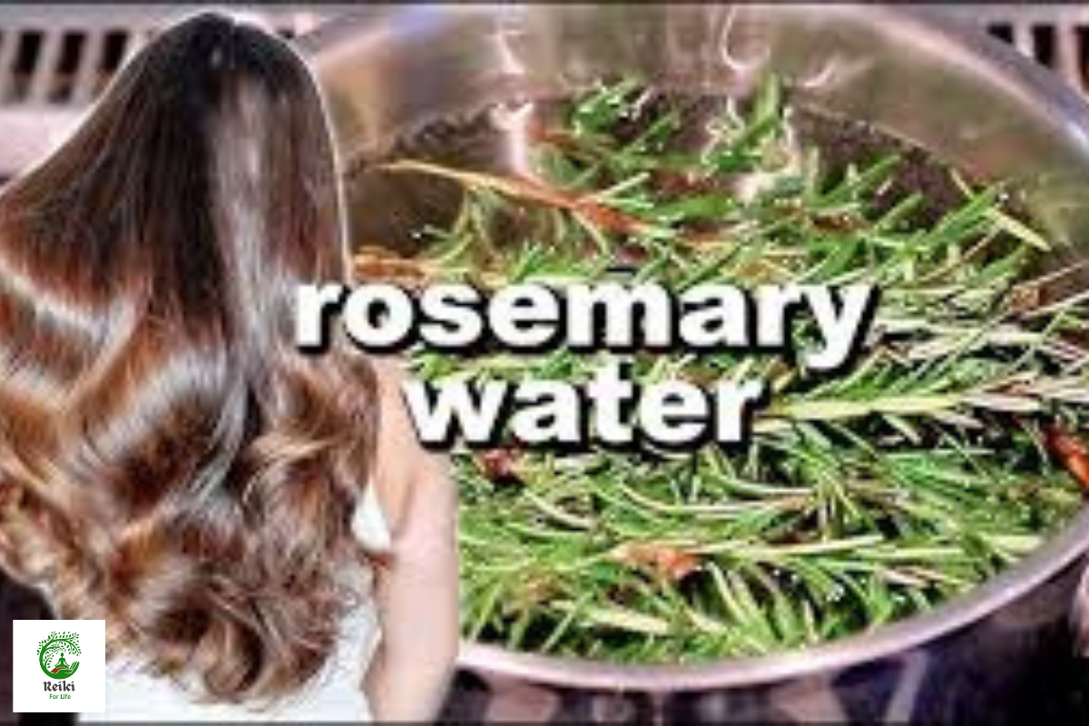 Rosemary Water for Hair Growth