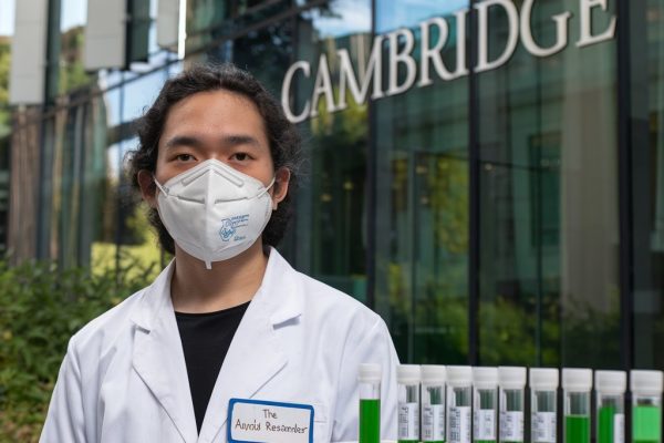 arugula researcher at cambridge